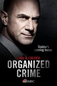 Постер к Закон и порядок: Организованная преступность (1-3 сезон)